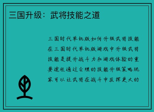 三国升级：武将技能之道
